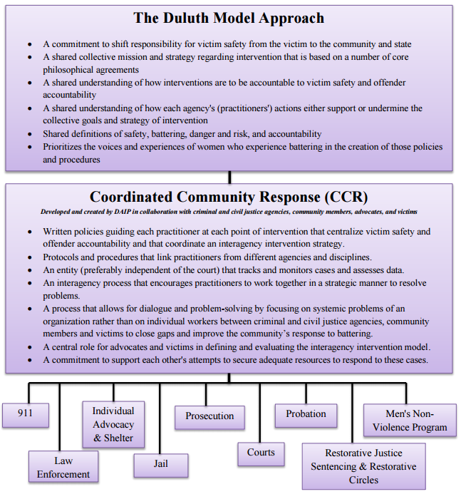 duluth-model-ccr-flowchart