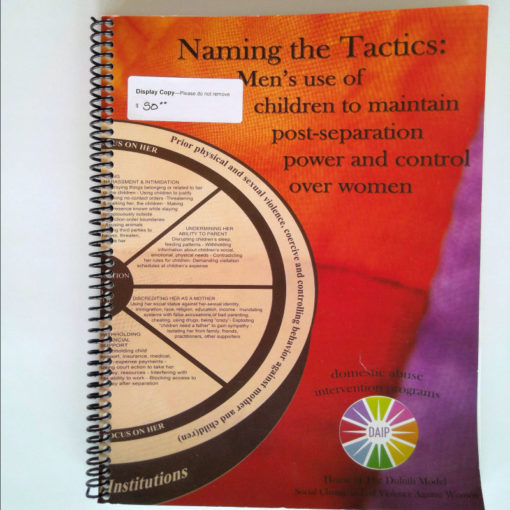 Naming the Tactics: Men's use of children in maintaining post-separation power and control over women