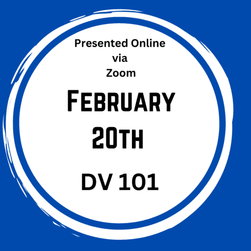 DV 101- February 20, 2025